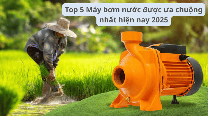 Nên chọn mua máy bơm Nước loại nào ? Top 5 Máy bơm nước được ưa chuộng nhất hiện nay 2025