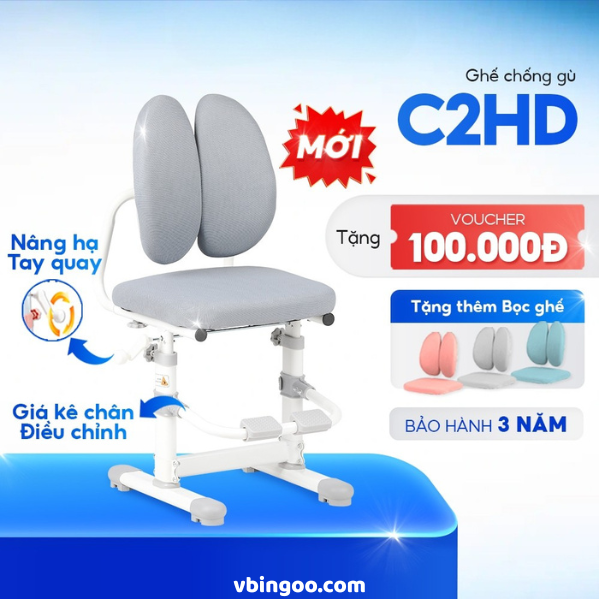 Ghe Chong Gu Cao Cap DERGO LEO C2HD Ghế Chống Gù Cao Cấp DERGO LEO C2HD