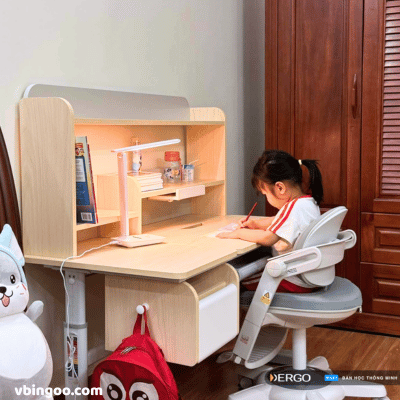 Ghế Ngồi Học Chống Gù Cao Cấp DERGO Hanover Apollo C21