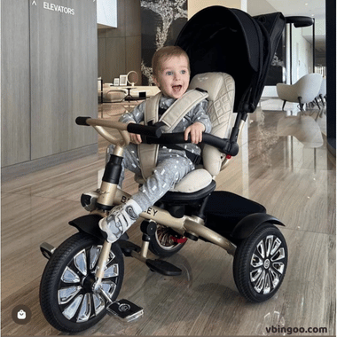 Xe đẩy kết hợp xe đạp 3 bánh The Bentley stroller trike 6 in 1