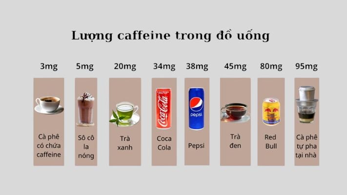 Caffeine làm giảm khả năng hấp thụ canxi ở đường ruột và tăng bài tiết canxi qua nước tiểu