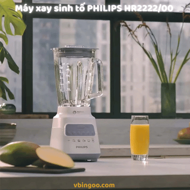 Máy xay sinh tố PHILIPS HR2222/00