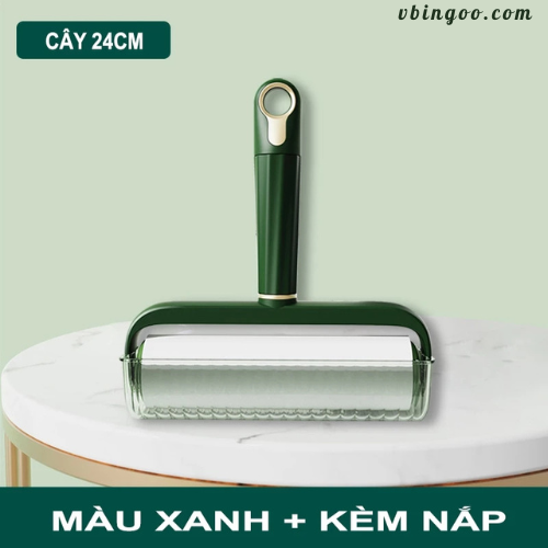 Cây Lăn Bụi 16/24cm