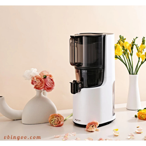Máy ép trái cây chậm Hurom chính hãng H200