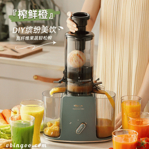 Máy ép trái cây chậm đa năng Bear YZJ-D01Y6