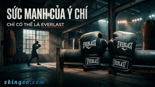 Găng Tay Boxing, Găng Tay Đấm Bốc Everlast Cao Cấp
