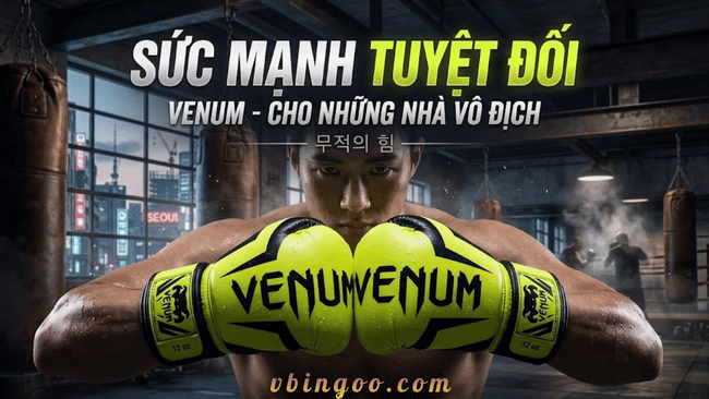 Review Top 5 găng tay boxing 2026: Đừng Mua Găng Tay Boxing Trước Khi Đọc Bài Này